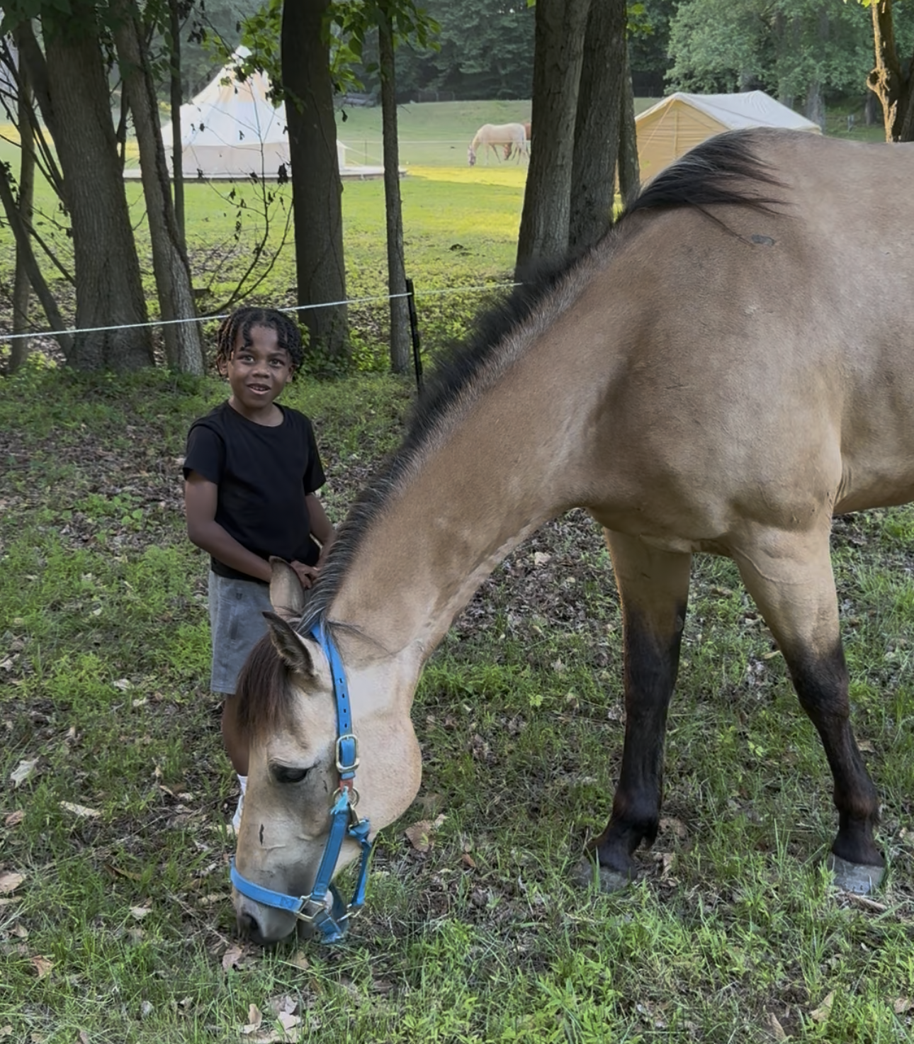 Child with grazing horse at summer camp